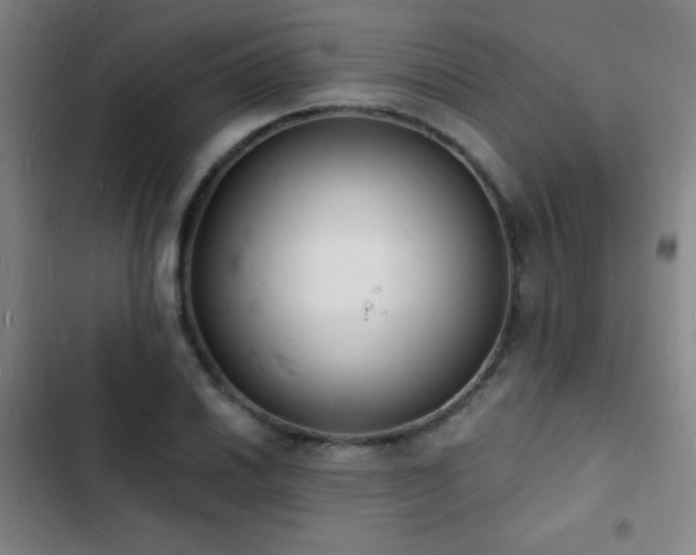 X0000103301030200808291400