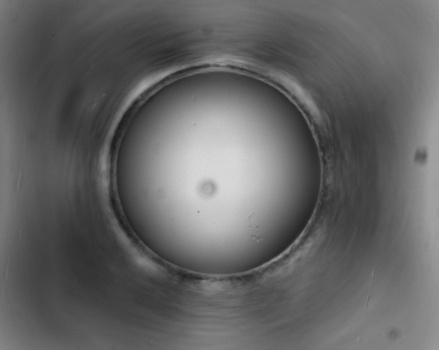 X0000103301032200808291400