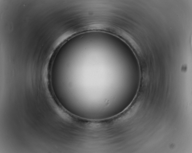 X0000103301034200808291400
