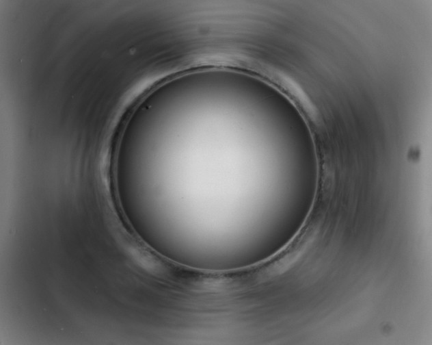 X0000103301035200808291400