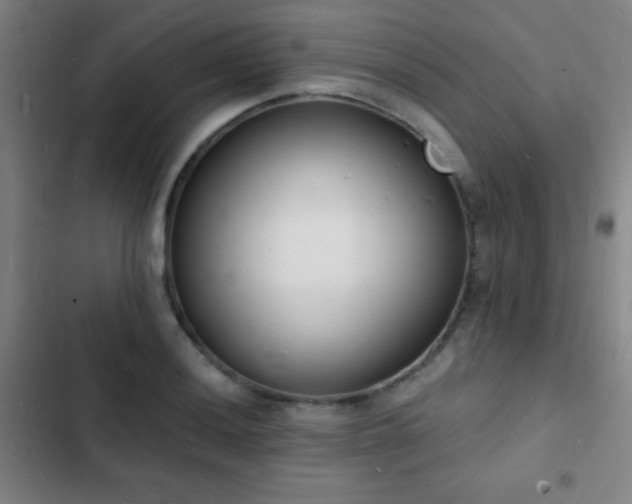 X0000103301036200808291400