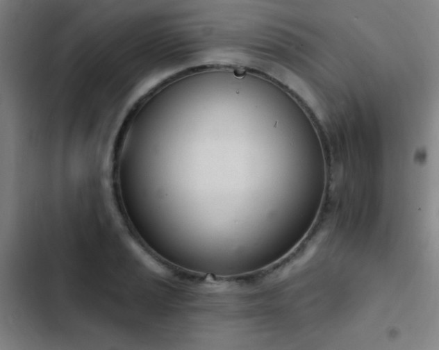 X0000103301037200808291400