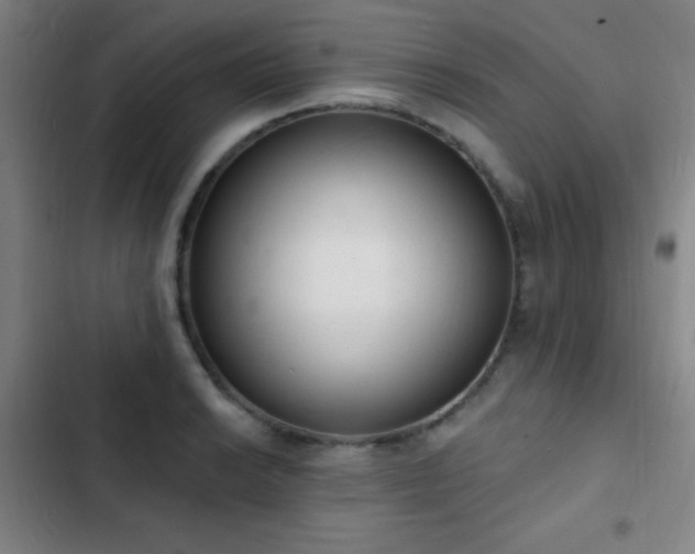 X0000103301038200808291400