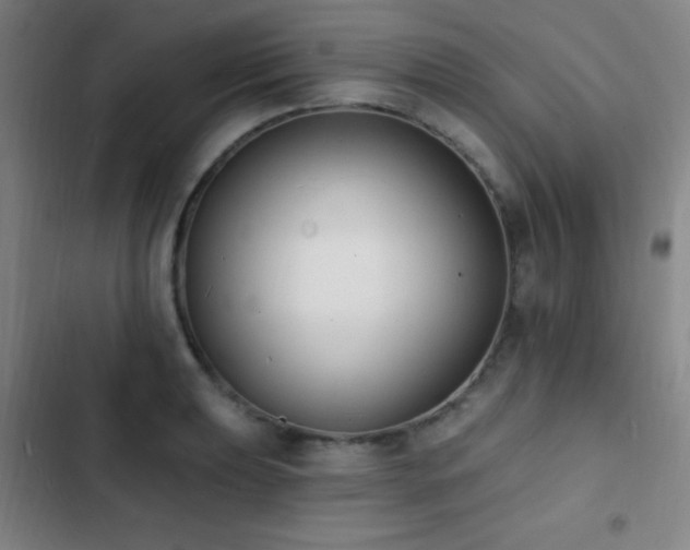 X0000103301039200808291400