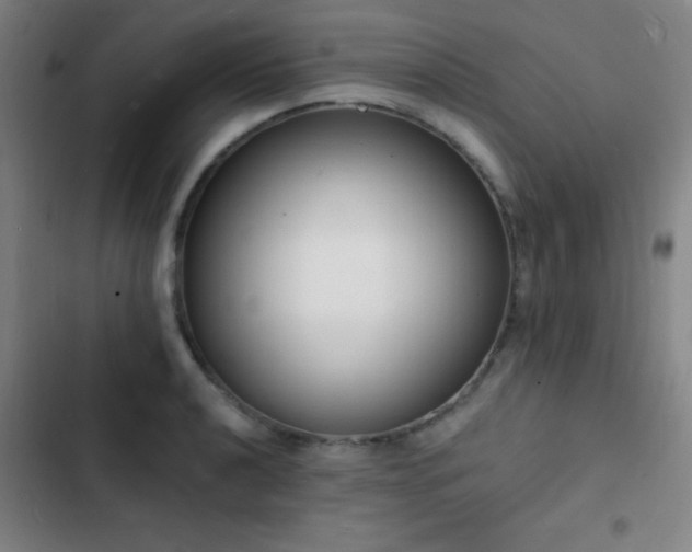 X0000103301040200808291400