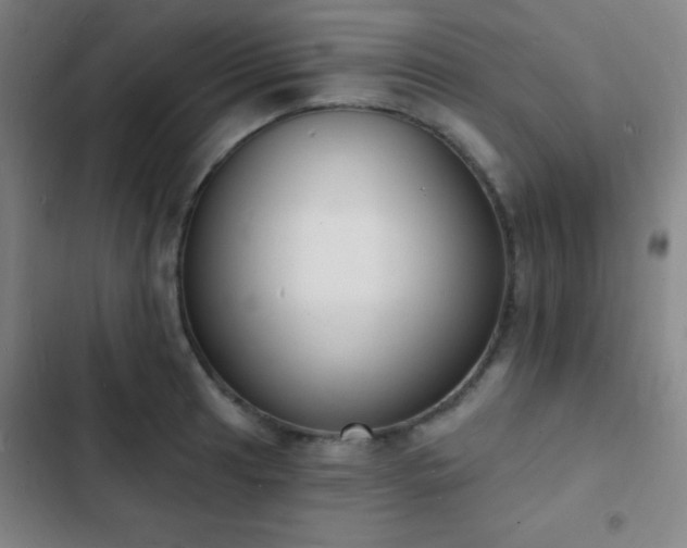 X0000103301041200808291400