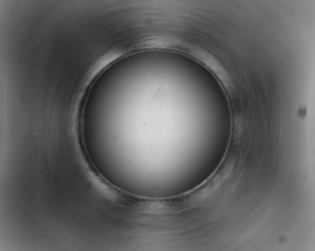 X0000103301042200808291400