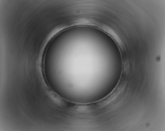 X0000103301043200808291400