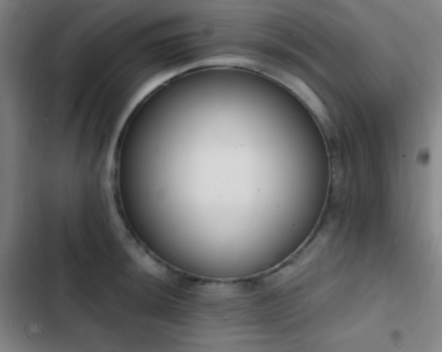 X0000103301044200808291400