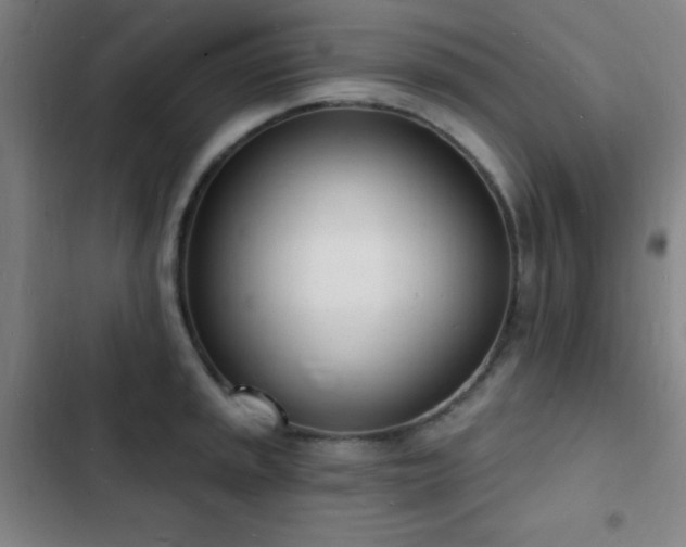 X0000103301045200808291400