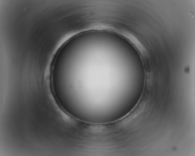 X0000103301046200808291400