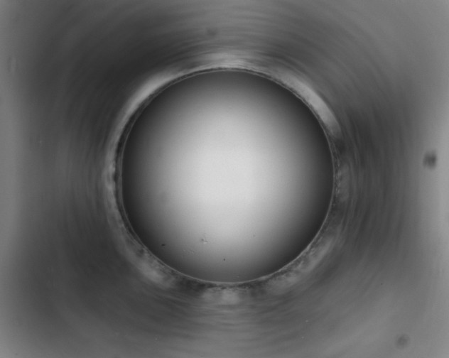 X0000103301051200808291400