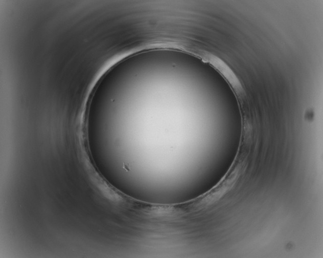 X0000103301052200808291400