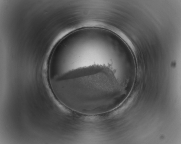 X0000103301053200808291400
