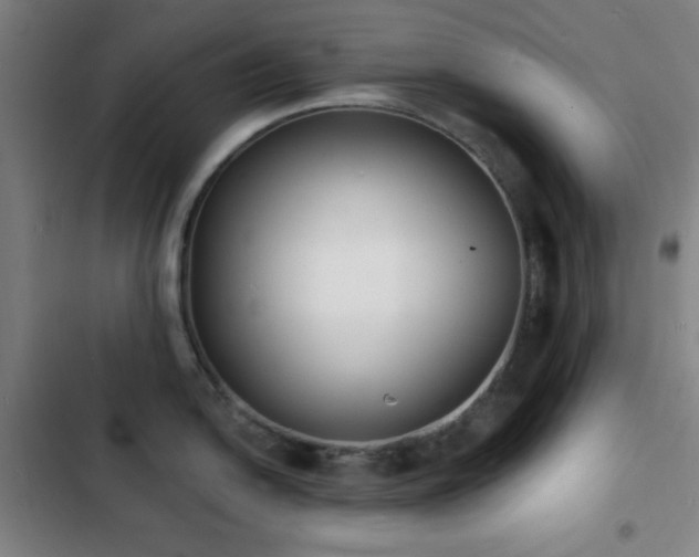 X0000103301054200808291401