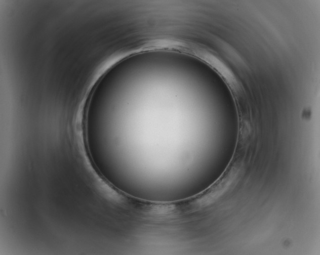 X0000103301055200808291401