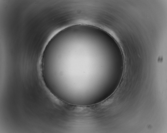X0000103301056200808291401