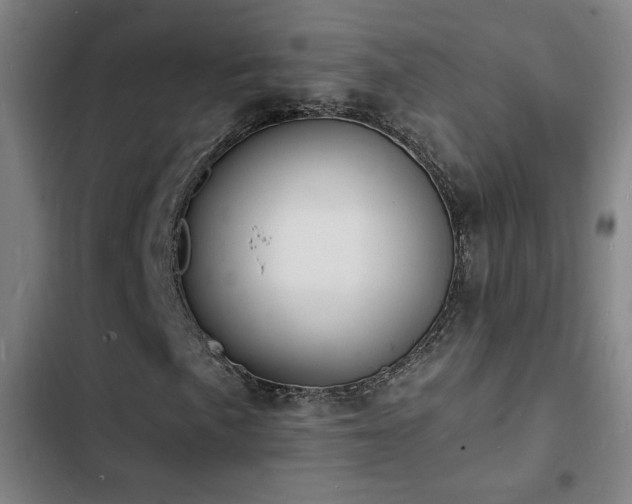 X0000103301057200808291400