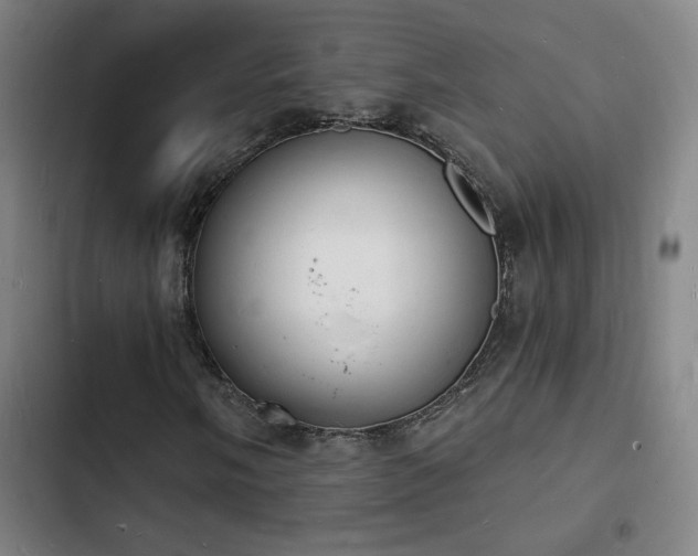X0000103301058200808291400