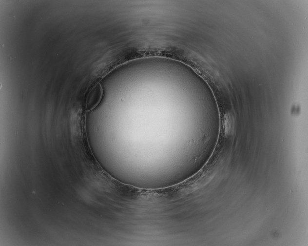 X0000103301059200808291400