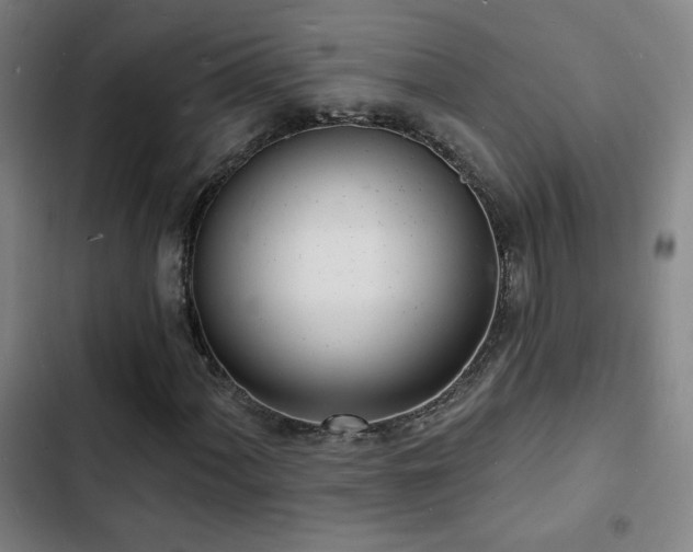 X0000103301060200808291400