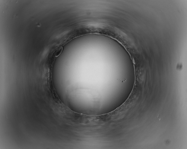X0000103301061200808291400