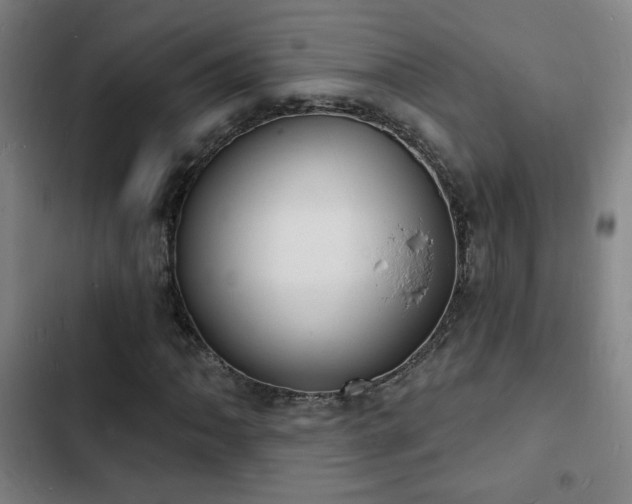 X0000103301062200808291400