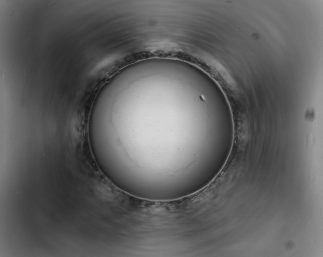 X0000103301063200808291400