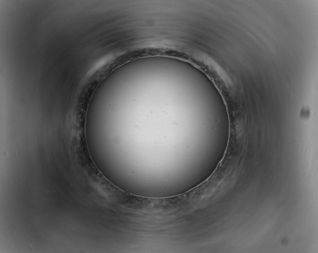 X0000103301064200808291400