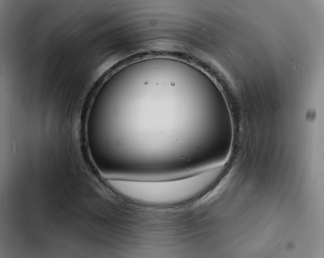 X0000103301065200808291400