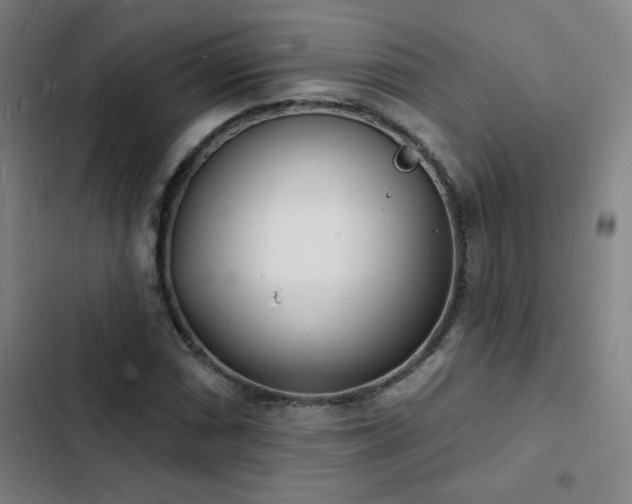 X0000103301066200808291400