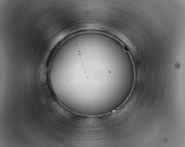 X0000103301067200808291359