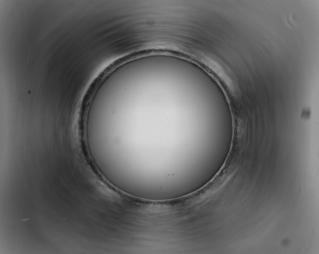 X0000103301068200808291359