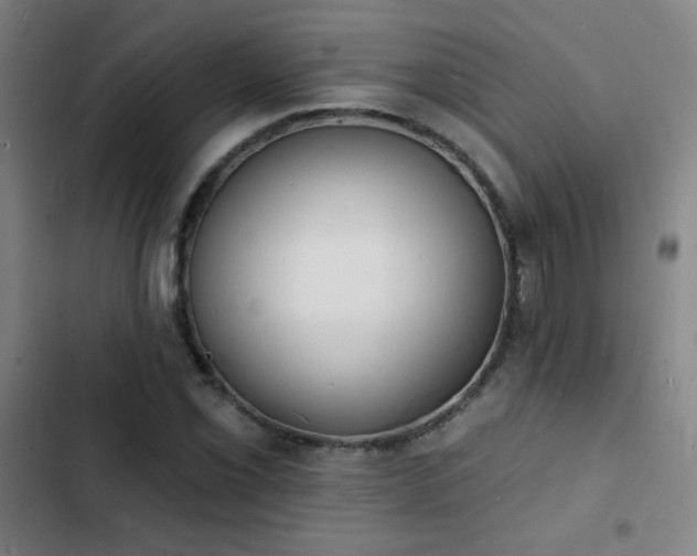X0000103301069200808291359