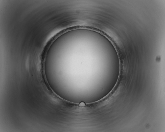 X0000103301070200808291359