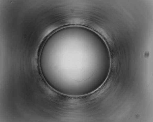 X0000103301071200808291359