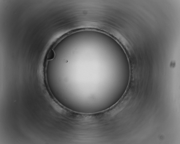 X0000103301072200808291359