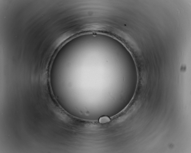 X0000103301073200808291359