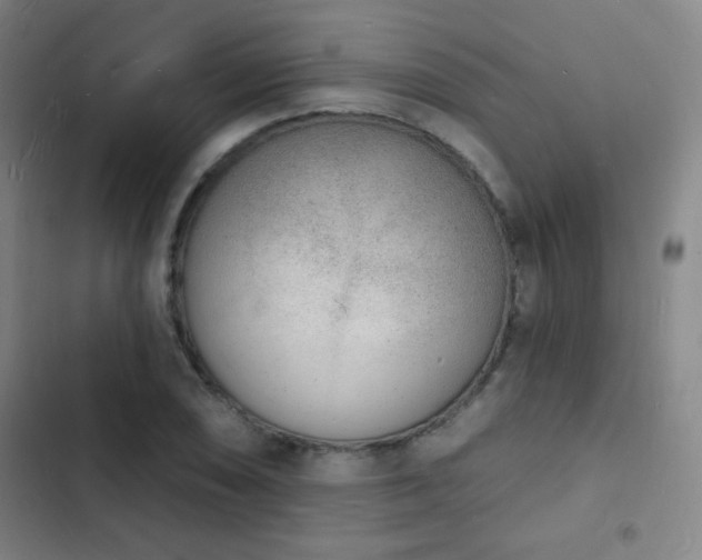X0000103301074200808291359