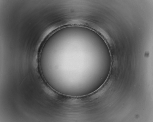 X0000103301075200808291359