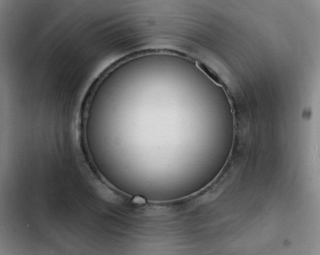 X0000103301076200808291359