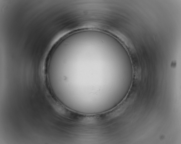 X0000103301078200808291359