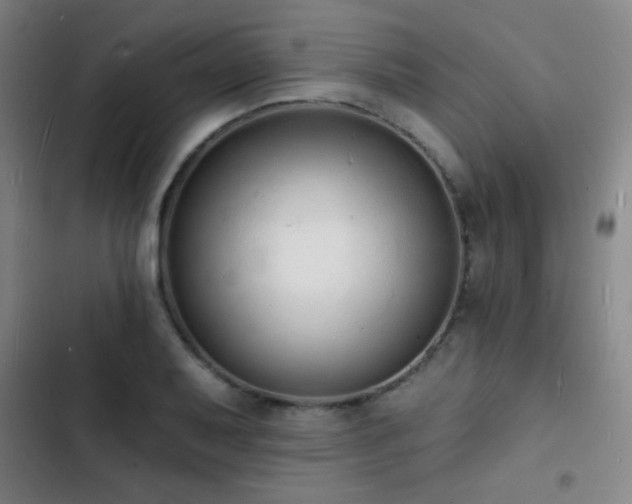 X0000103301079200808291359
