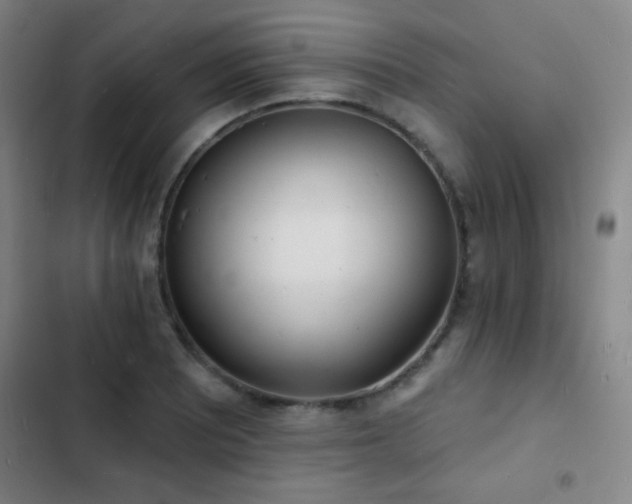 X0000103301081200808291359