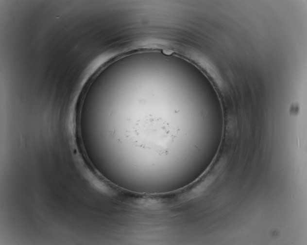 X0000103301082200808291359