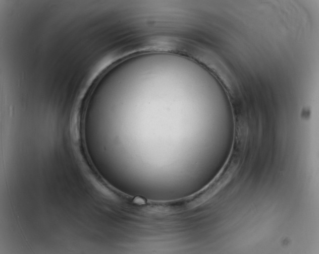 X0000103301083200808291359