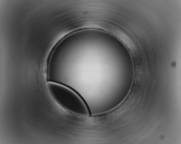 X0000103301084200808291359