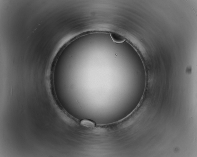 X0000103301085200808291359