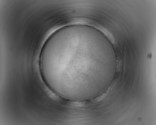 X0000103301086200808291359