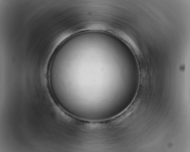 X0000103301087200808291359